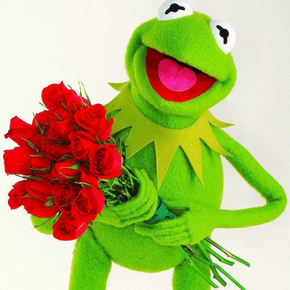 Meet your Posher, Jordy